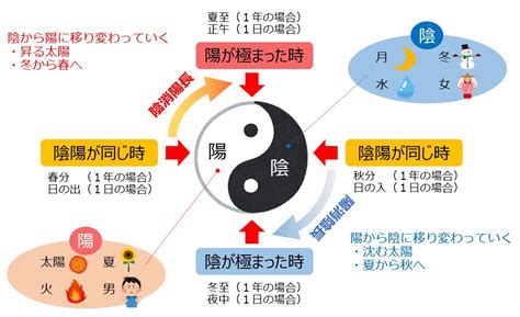 長陰|第11回 陰陽学説の人体への応用（2）陰陽互根、陰陽。